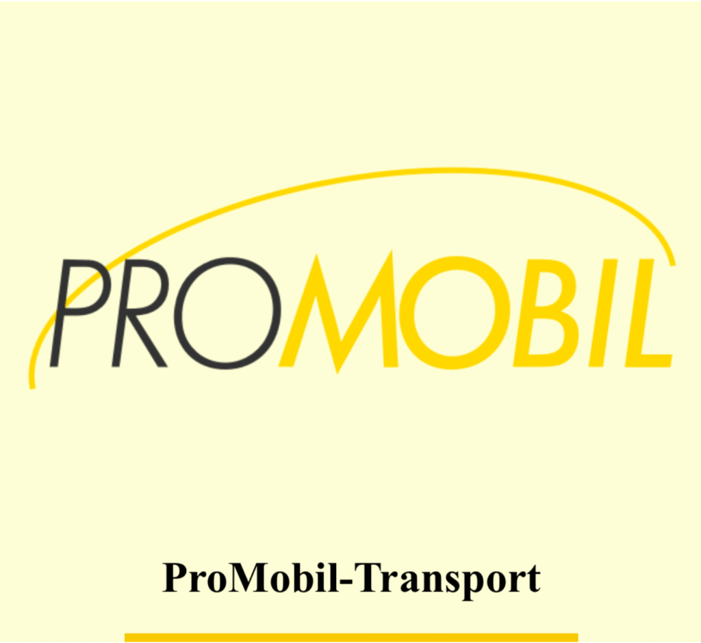 promobil taxi winterthur
