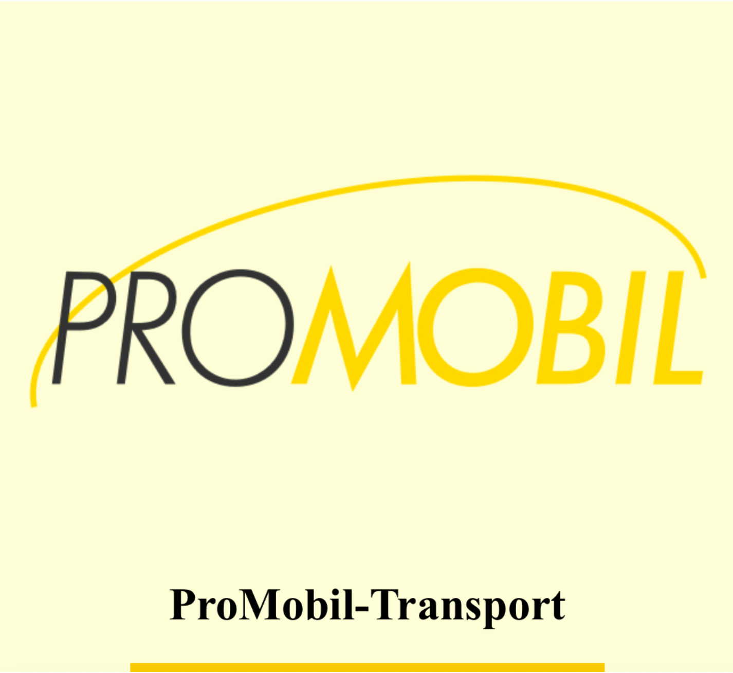 promobil taxi winterthur
